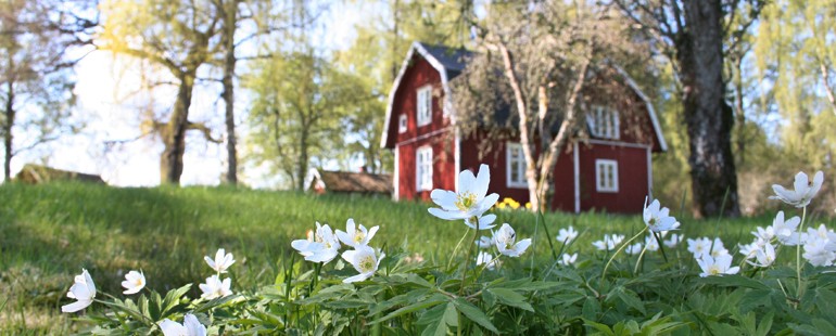 Bo i Skara och bo nära naturen ...