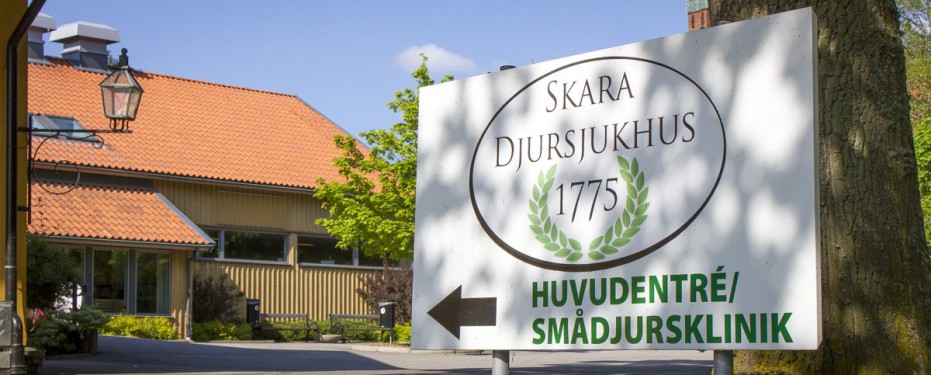 Skara Djursjukhus