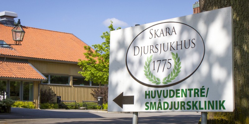 Skara Djursjukhus